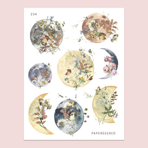 Autumn Moon Floral Stickers 234 - PapergeekCo